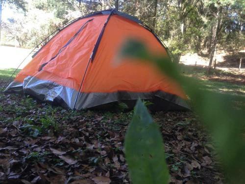 Hostal Hotel Bosques
