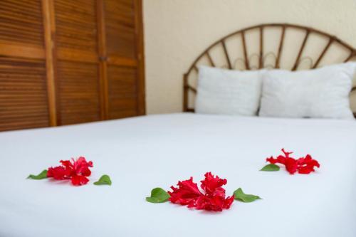 Hostal Villa Diamante