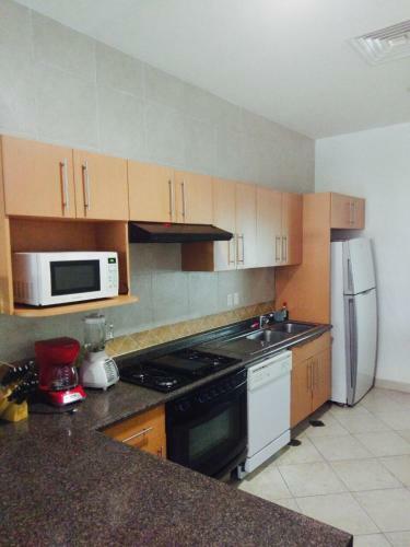 Grand Residencial Ixtapa Apartment