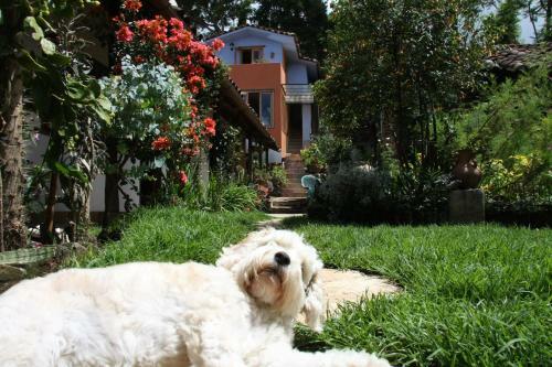 Bela's Bed And Breakfast