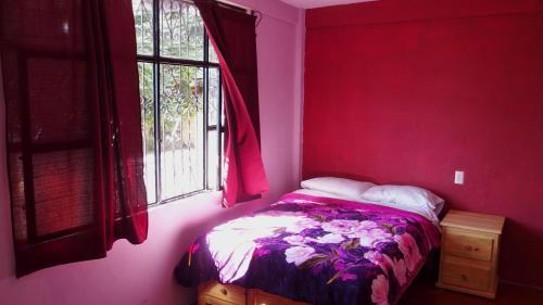 Hotel Kukulpan Hostal