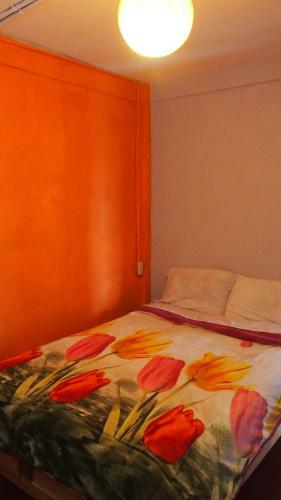 Hotel Kukulpan Hostal