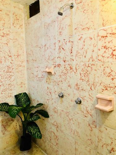 Hostal El Besito Hostel Sma