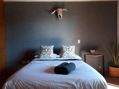 Albergue Lool Beh Hostal Boutique