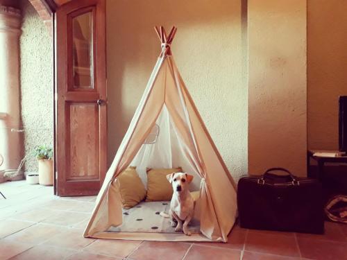 Albergue Lool Beh Hostal Boutique