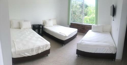 Hotel Econilonatural