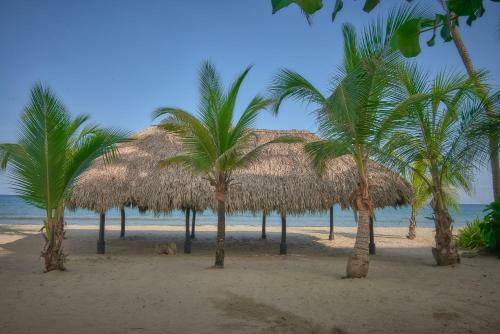 Caba�a Cove�itas