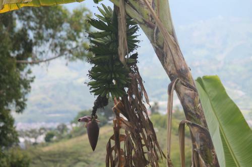 Agroturismo Loma Del Sol Hospedaje Rural