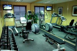 Hotel Hampton Inn & Suites-austin Airport