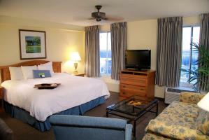 Hotel Hampton Inn & Suites-austin Airport