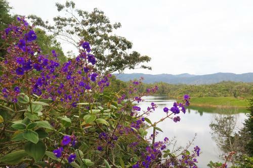 Hotel Ecolodge Bahia Del Pe��n