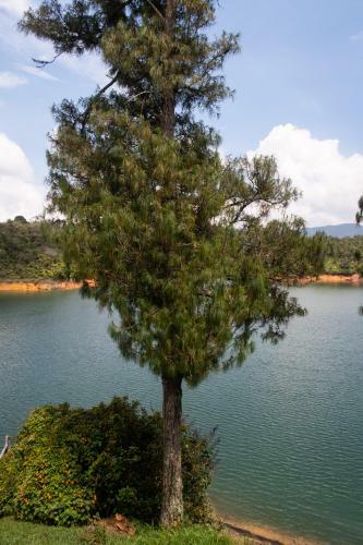Hotel Ecolodge Bahia Del Pe��n