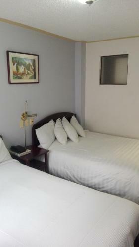Hotel Los Andes