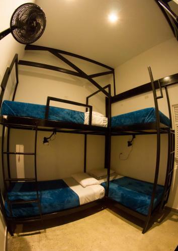 Hostal Nativo Hostel
