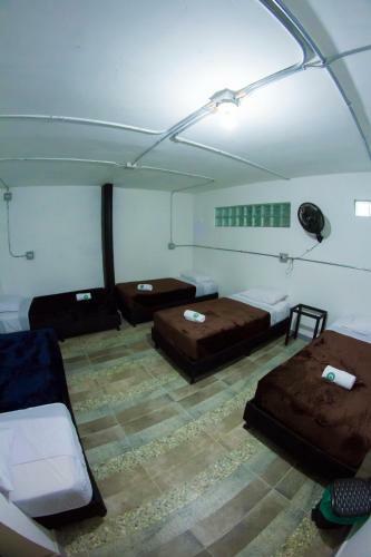 Hostal Nativo Hostel