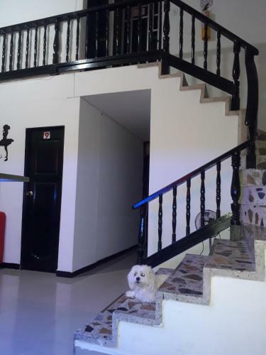 Hostal Apartahotel Albita