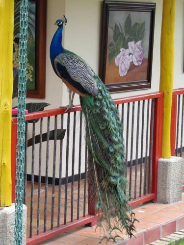 Posada Los Guaduales Ecoparque