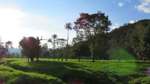 La Caba�a Ecohotel (river House) - Valle De Cocora