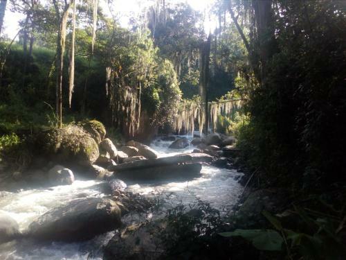 Finca Cimarron
