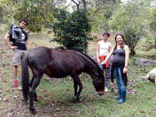 Finca Cimarron
