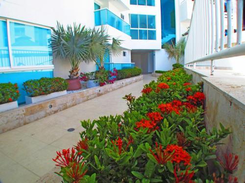 Apartamentos Suiteline Plus - Oceanview