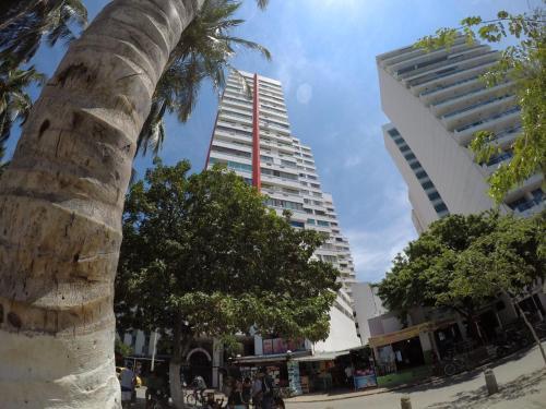 Apartamento Con Vista