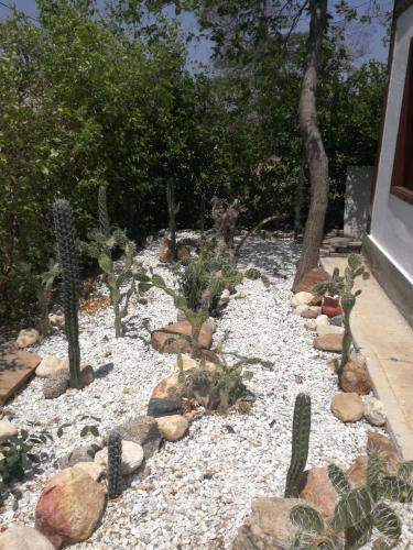 Bed & Breakfast Eco House Neguanje Tayrona