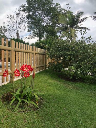 Caba�as Filadelfia