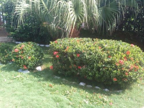 Lodge Villa Las Marias