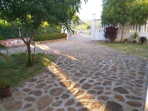 Jacky's House