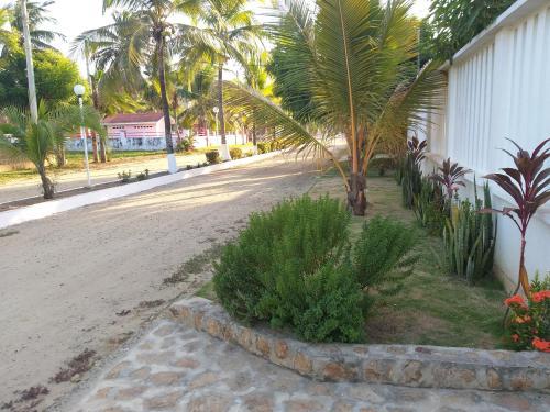 Jacky's House