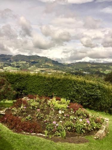 Finca Miraflores