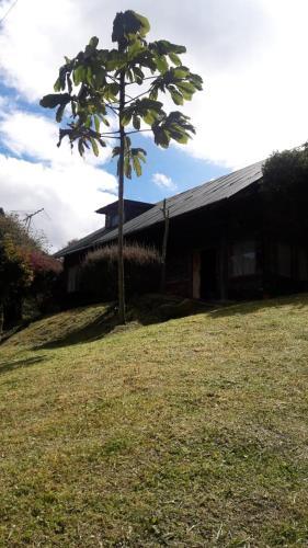Camping Yarumero