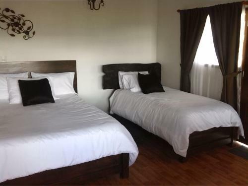 Posada San Benito Hotel