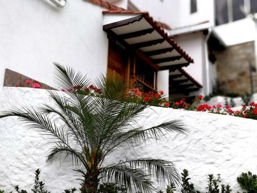 Posada San Benito Hotel
