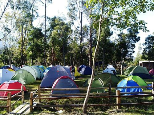 Zona Camping Oasis Del Roble