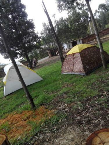 Zona Camping Oasis Del Roble