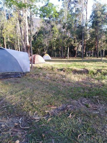Zona Camping Oasis Del Roble