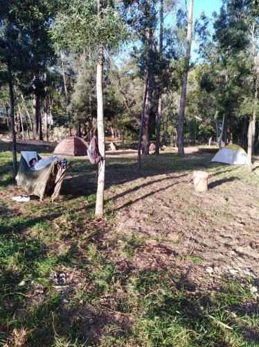 Zona Camping Oasis Del Roble