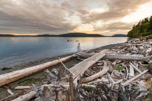 Fidalgo Island Waterfront Stunner