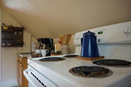 Downtown 1 Bdrm Loft In Arcata - Walk To Everything! Sauna & Bicycles