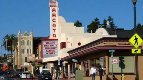 Three Trees Hollow- Charm & Comfort -cottage In Downtown Arcata