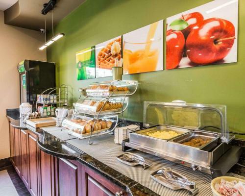 Hotel Quality Inn & Suites Birmingham - Highway 280