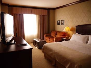 Hotel Holiday Inn Lafayette-city Centre