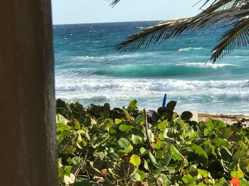 Apartamento Seashell Studio