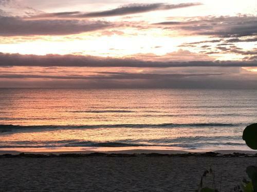 Apartamento Seashell Studio