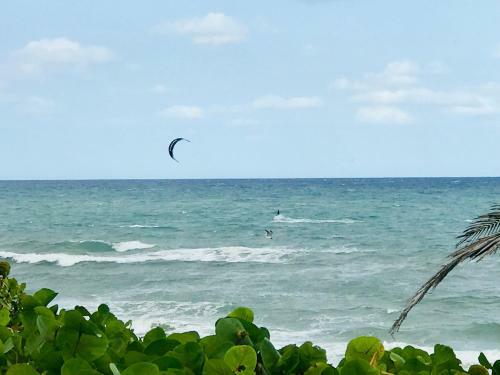 Apartamento Seashell Studio