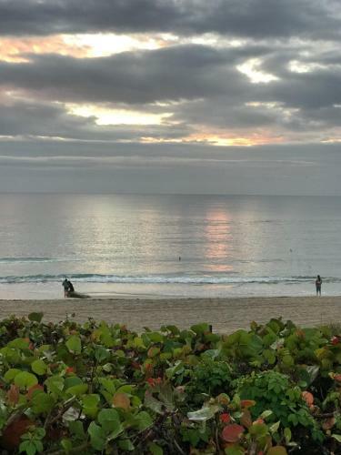 Apartamento Seashell Studio