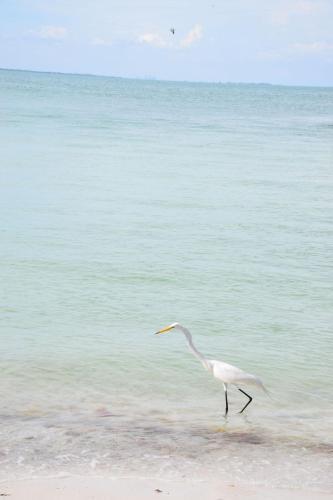 Apartamento Runaway Bay 185 - 1357300 Condo