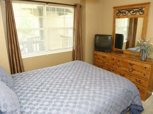 Apartamento Silver Dollar #703591 Condo